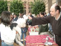 Bendicin de mascotas en Rabanales