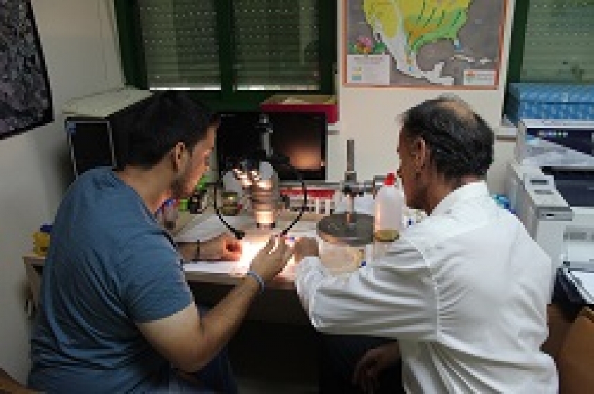 La comunidad científica llama a la colaboración ciudadana para controlar la expansión del mosquito tigre