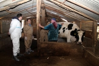 Librado Carrasco durante un actuación veterinaria en Líbano