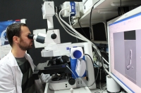 Un investigador de la Universidad de Crdoba analiza el hongo 'Fusarium oxysporum' en el microscopio