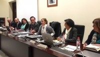Intervencin de Anabel Carrillo ante los integrantes del Consejo de Gobierno.