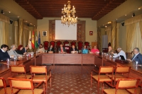 Vista general del Pleno del Consejo Social durante su sesin ordinaria