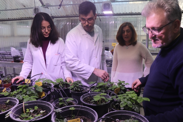 Researcher team at University of Córdoba